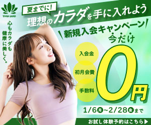 300×250pixelサイズイメージ