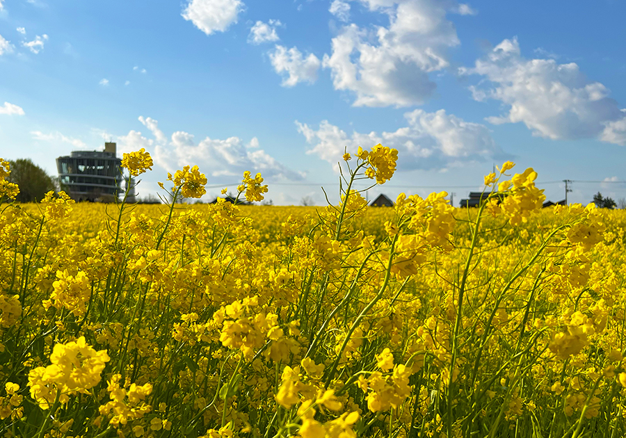 プロフィール画像